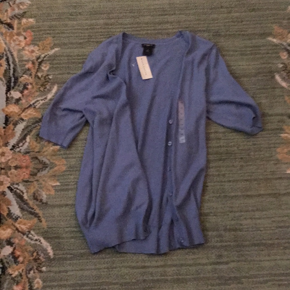 Ann Taylor Sweater